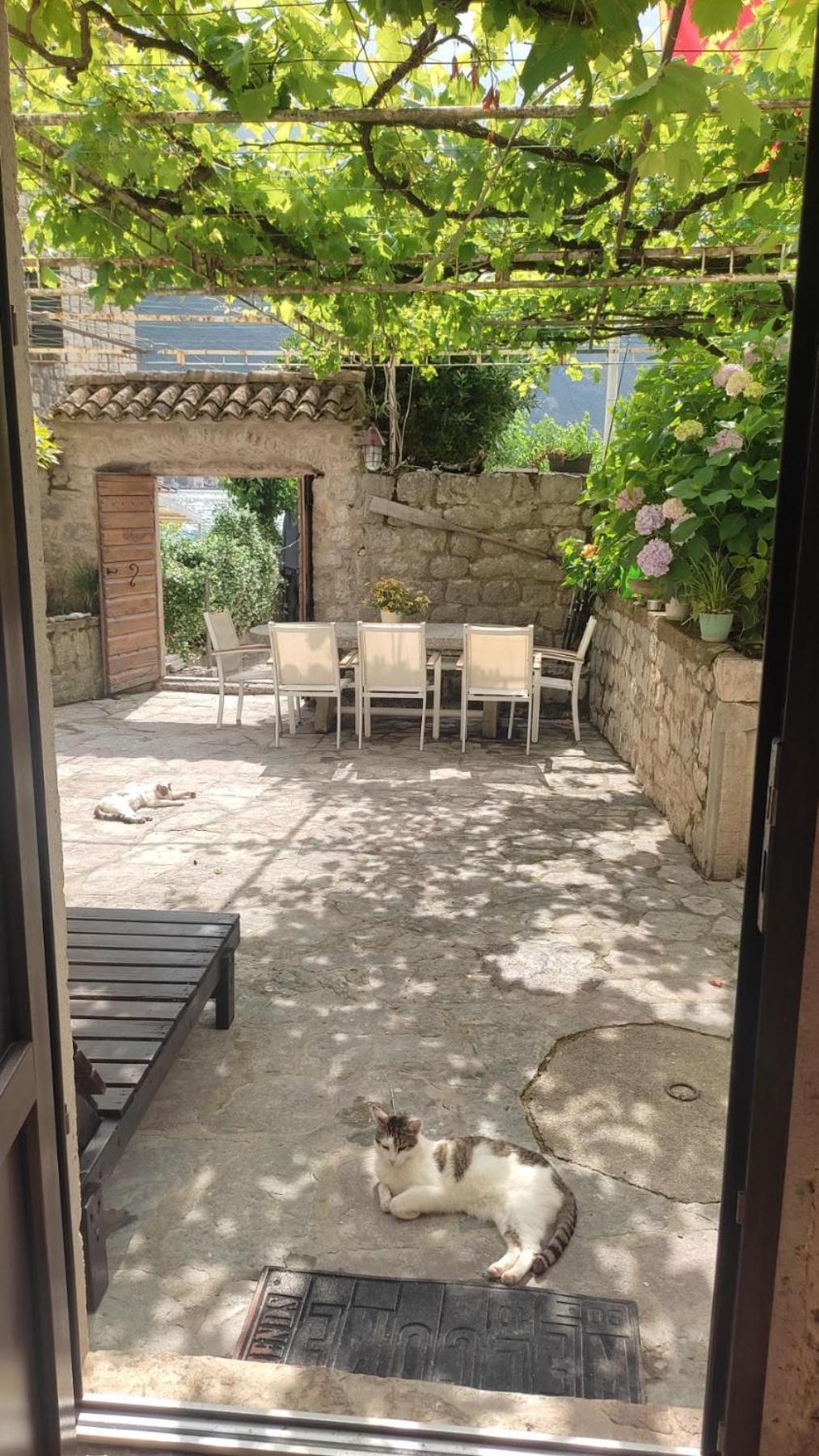 Regina Di Dobrota Daire Kotor Dış mekan fotoğraf